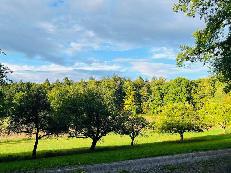 22-09-10 18-10-44 1982